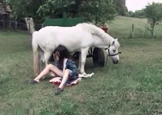 Small horse is having its dick sucked off