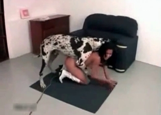 Massive dog is fucking her with energy