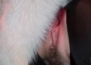 Adorable model can't wait to be fucked by an animal