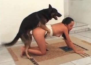 Passionate animal wants to feel great