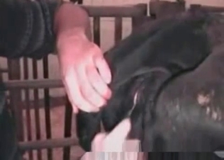 Nothing can be wilder than punishing a stallion