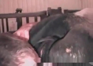 Nothing can be wilder than punishing a stallion