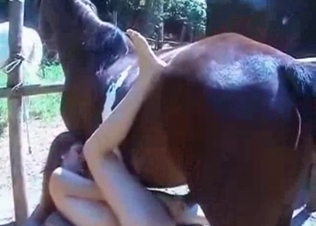 Lovely whore is giving blowjob to her animal