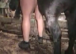 Small horse is penetrating this slut's holes