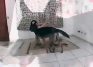 She is falling in wild love with a doggy