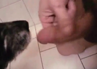 Watch the chick fucking with her hound