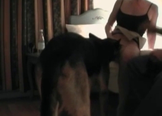 Dirty dog can't stop tasting her cunt