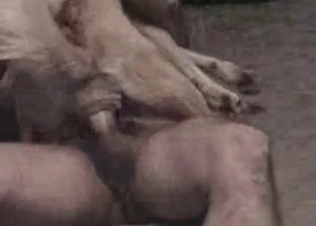 Dirty zoophile and his poor puppy