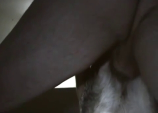 Fat man with big cock drills his doggy