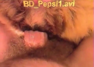 Sticking my wiener in doggy tight ass
