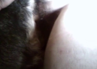 Slowly sticking my cock in doggy asshole
