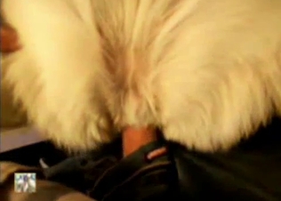 My dick looks so nice in doggy tight ass