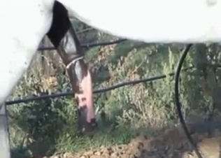 Horse dick becomes horny as fuck