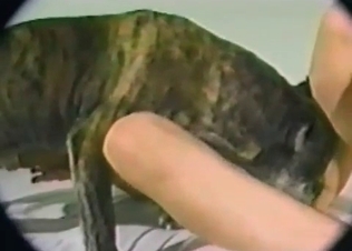 Join the whore playing with her small hound