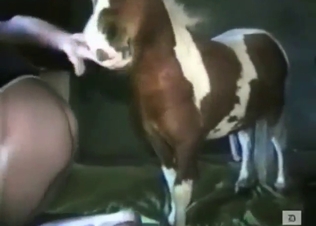 Big cock of a pony fucking that sensitive ass