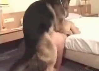 Sensual dog is tasting her vagina