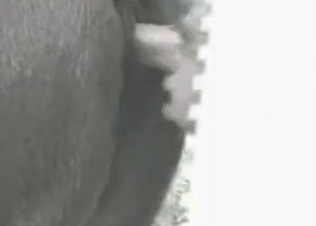 Guy is jizzing in this beast's hole