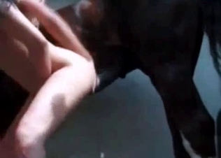 Farm animal is practicing a hardcore fuck
