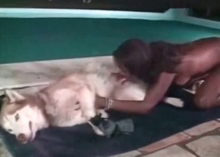 Ebony zoophile is banging with a dog