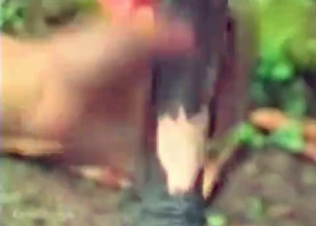 Lustful zoophile is enjoying sex with a stallion