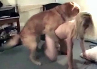 Restless puppy is playing with a sexy zoophile