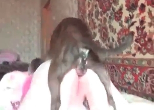 Dirty dog is punishing her so hard