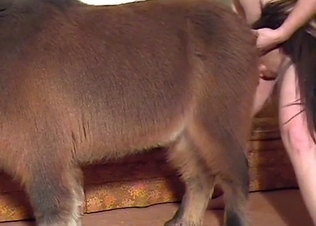 Sensational stallion knows much about anal fuck