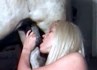 Oral sex session with beasts