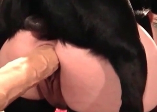 Fucking a puppy in the bedroom