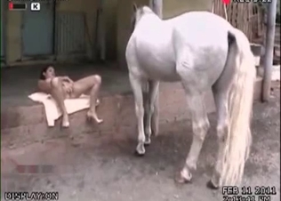 Watch her tasting big boner of an animal