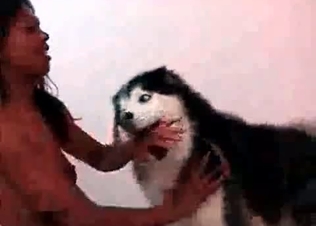 Zoo fuck is what this ebony slut needs