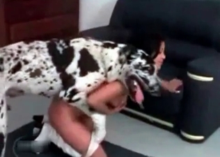 Massive dog is fucking her with energy