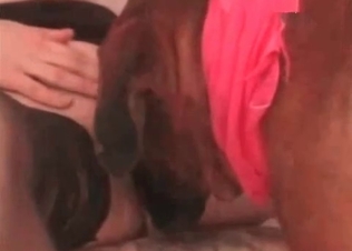 Cute puppy is tasting her vagina