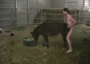 Banging this big stallion deep in its ass