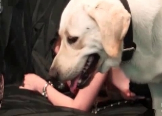 Adorable model can't wait to be fucked by an animal