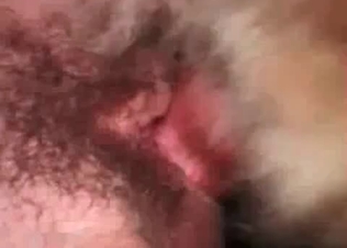 She is getting fucked by her big dog