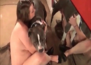 Homemade porn video including some zoo fuck scenes