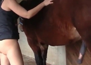 Dirty slut is riding a stallion's cock