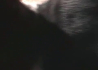 Deep penetration is what this zoophile wants