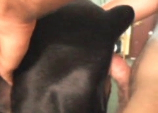 Restless zoophile gets fucked so wildly