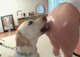 Wild puppy gets fucked by an Asian slut