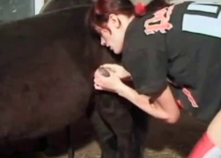She is going crazy tasting this mutt's cock