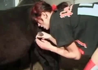 She is going crazy tasting this mutt's cock