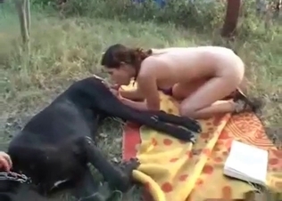 Sexy dark-haired lady is playing with a dog