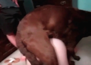 Sexy puppy gets fucked so hard