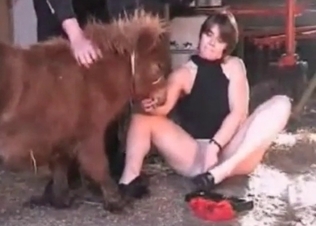 Chubby model is riding a small horse's cock