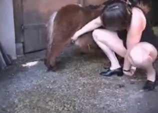Chubby model is riding a small horse's cock