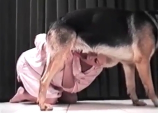 Filthy dog and a tender model