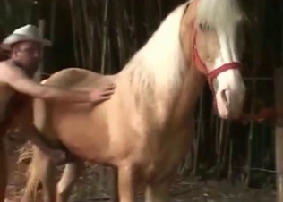 Dirty cowboy needs his stallion to satisfy him