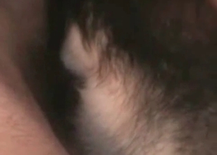 Adorable slut is satisfying a hound